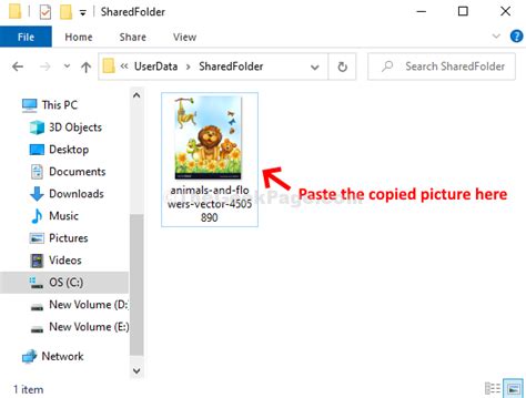 bluestack shared folder
